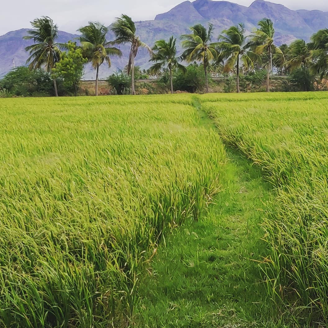 road trip to papanasam tirunelveli