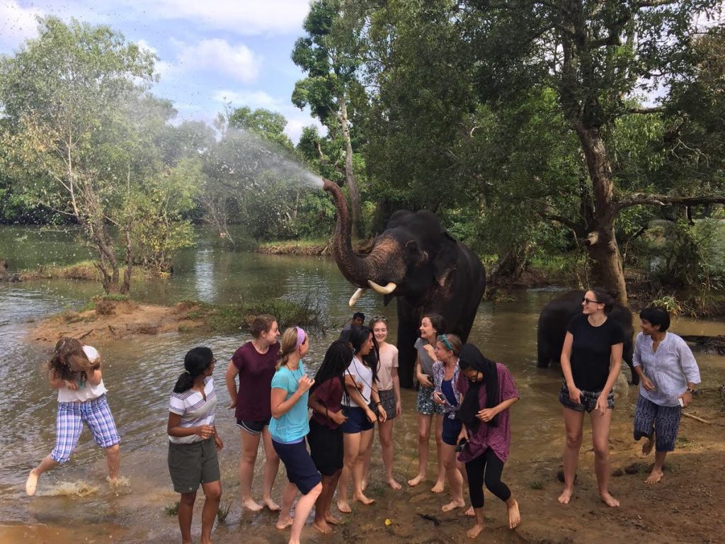 Dubare Elephant bathing and feeding