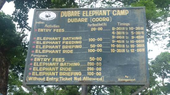 Dubare elephant entrance timing and fee