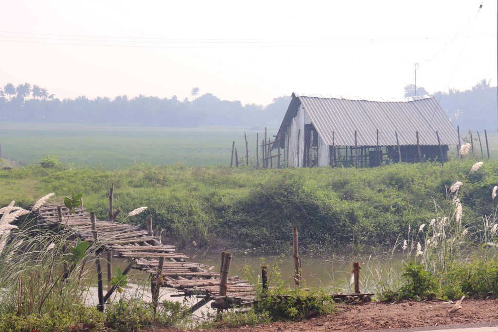 Kumbakonam is Famous for agriculture