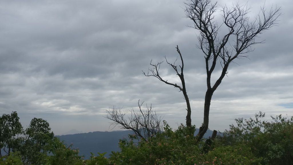 Trekking in mountains in Yercaud