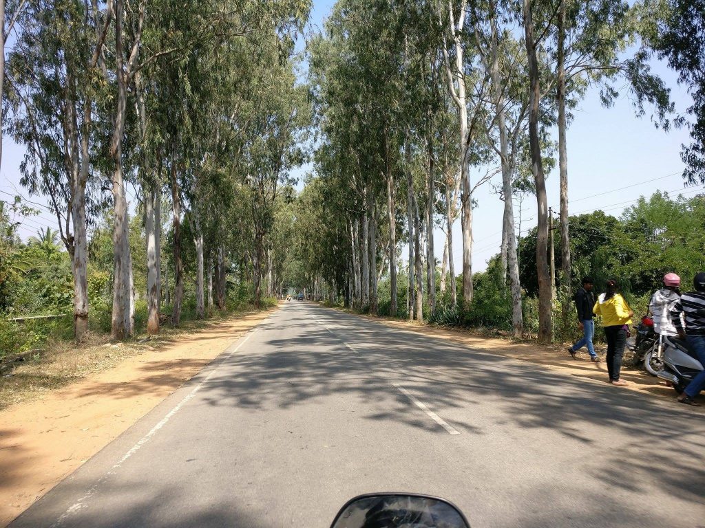 Road trip from bangalore to Nandi Hills