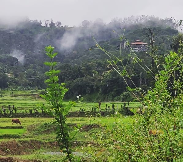 wayanad to madikeri road trip